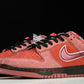Concepts x SB Dnk Low 'Red Lobster'