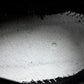 Cactus Plant Flea Market A1R FLEA 2 'Black Alabaster'