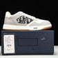 D1or B27 Low Oblique 'Grey White'