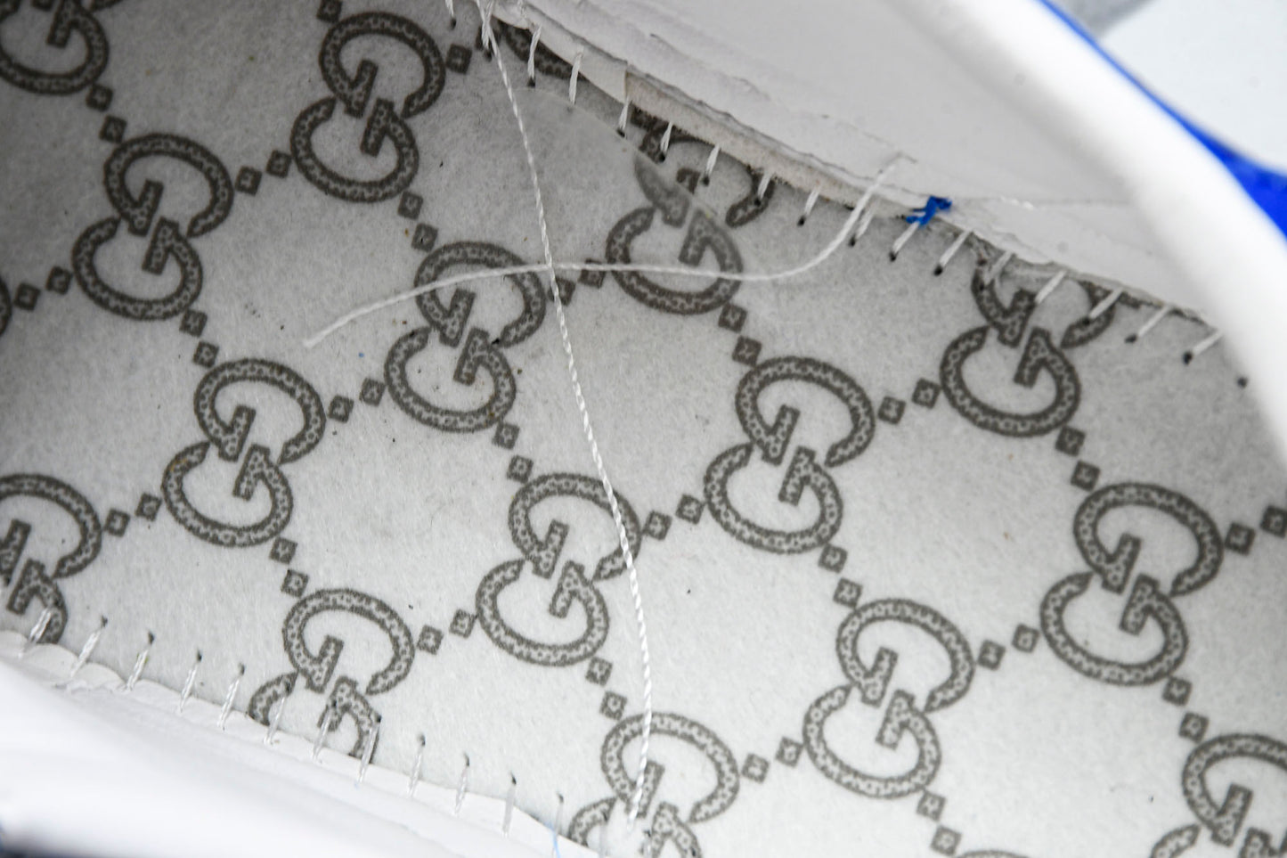Guссi Ace Web 'Blue Monogram'