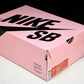SB Dnk Low 'Staple NYC Pigeon'