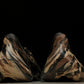 Yzy Foam RNNR 'MX Cinder'