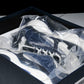 D1or B22 'Blue Black'
