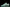 Concepts x SB Dnk Low x Tagz 'Tiffany Aqua Diamond Lobster' (Unreleased)