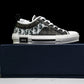 D1or B23 Low ‘Oblique Black White’
