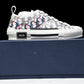 D1or B23 Low ‘Oblique Red Blue Pixel’