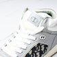 D1or B27 High Oblique 'Grey White'