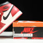 AJ1 Retro High 'Lost and Found'