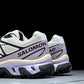 Salomon XT-6 'Icicle Nirvana'