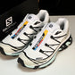 Salomon XT-6 'White Icy Morn'