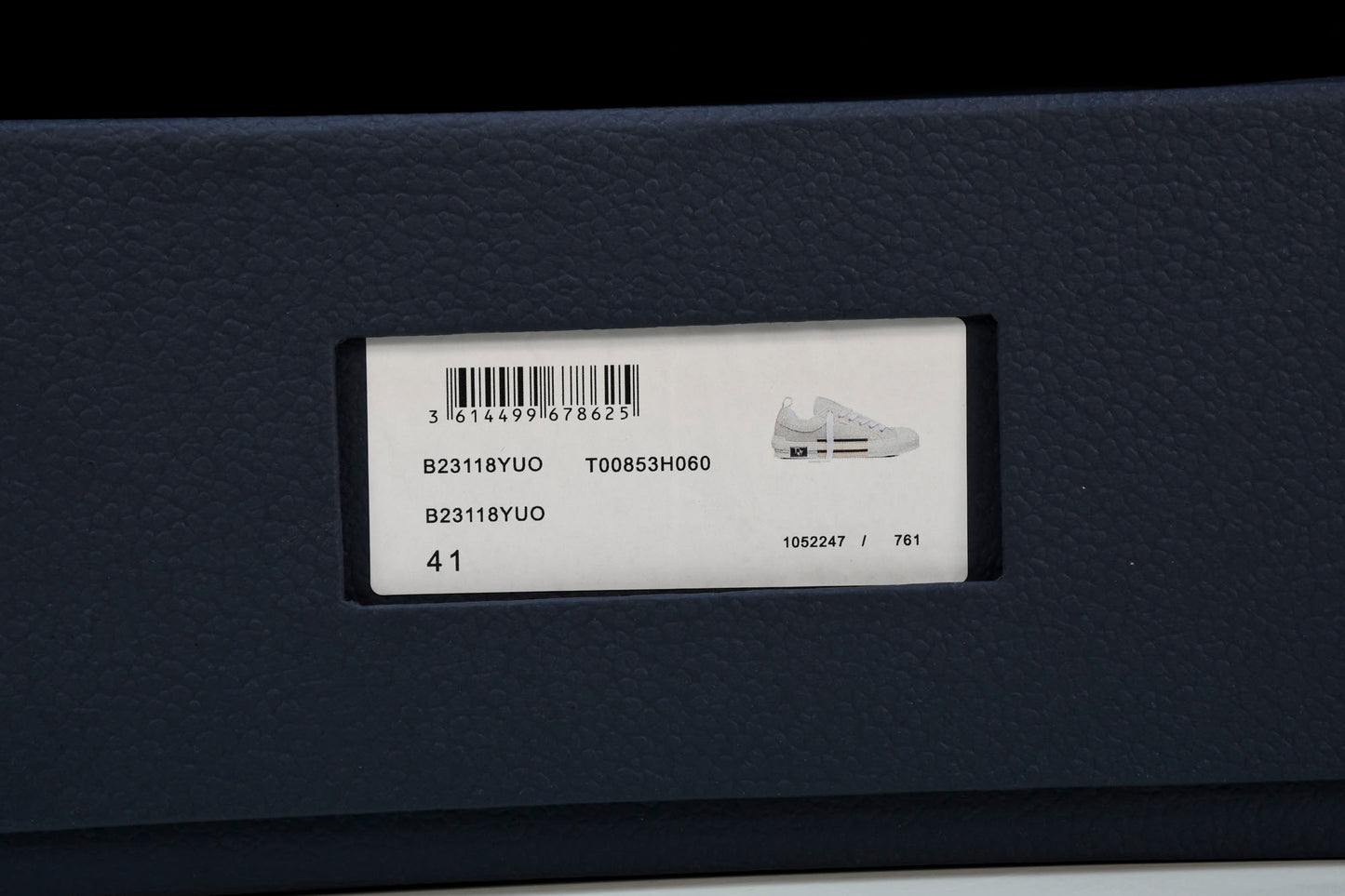 D1or B23 Skater Low 'Oblique'